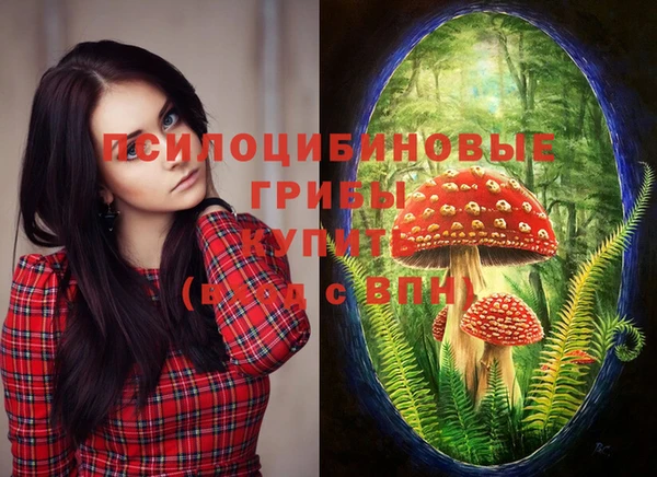 дживик Мегион