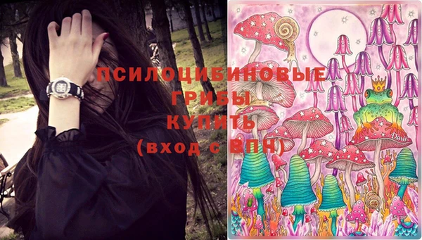 дживик Мегион
