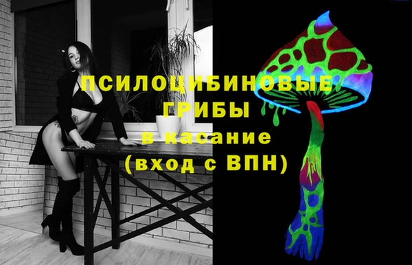 дживик Мегион