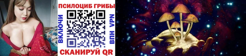 darknet телеграм  Чистополь  Галлюциногенные грибы мухоморы  дарнет шоп 