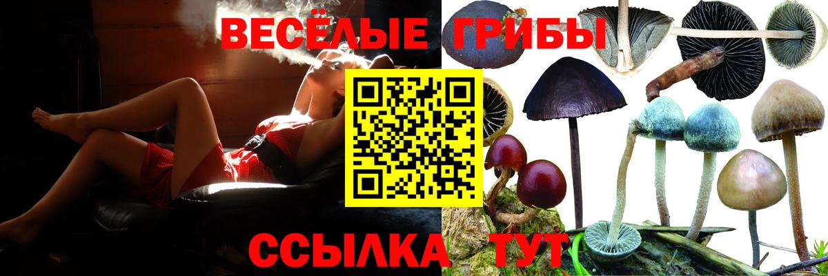 Чистополь  Псилоцибиновые грибы MAGIC MUSHROOMS  Вход с VPN 