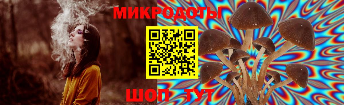 Псилоцибиновые грибы мухоморы  Чистополь  Галлюциногенные грибы Psilocybine cubensis 